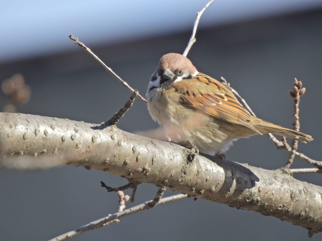 ご機嫌ななめ？　DSCN0815