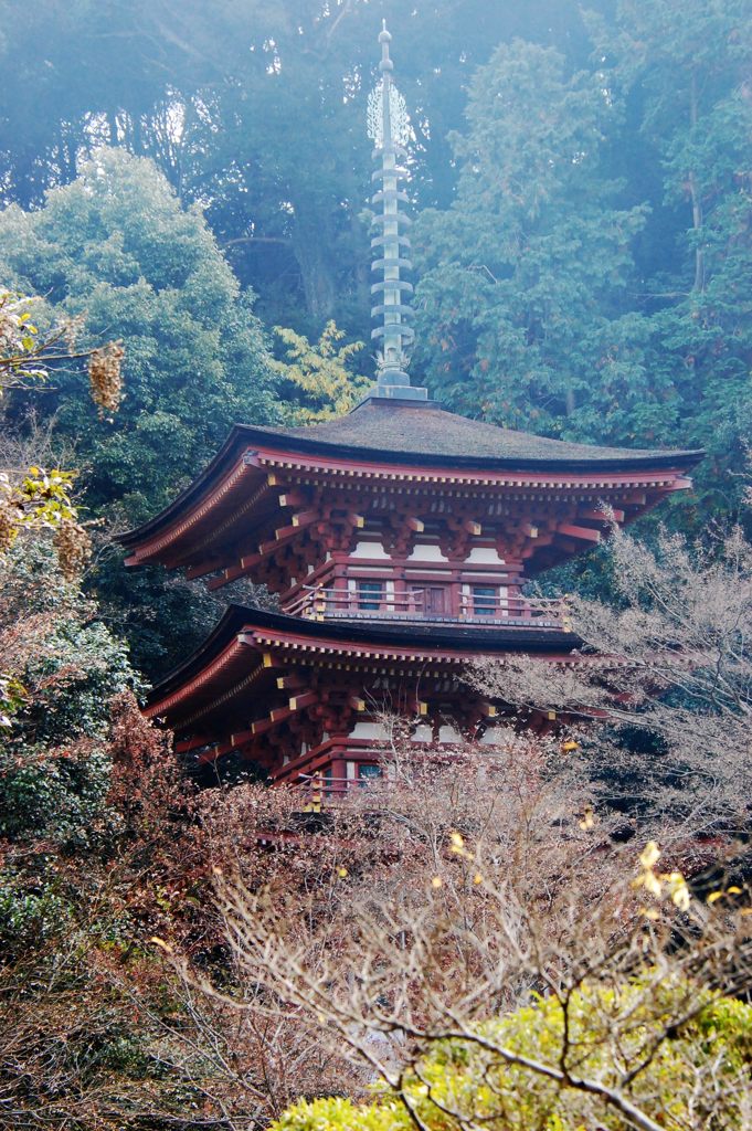 晩秋の浄瑠璃寺三重塔（国宝）　DSC_5861