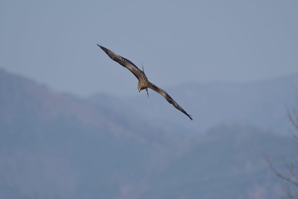 川原の上空　DSC_7251