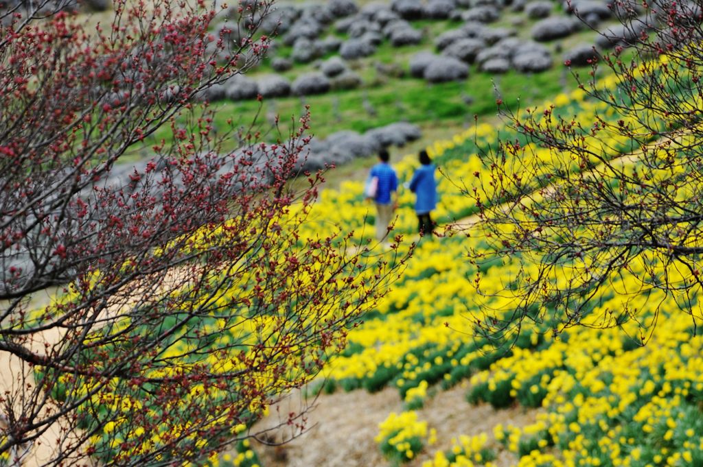 近いうちに　　DSC_1548