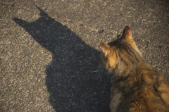 Catwoman