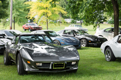 The Woodward Dream Cruise 2014: Corvette