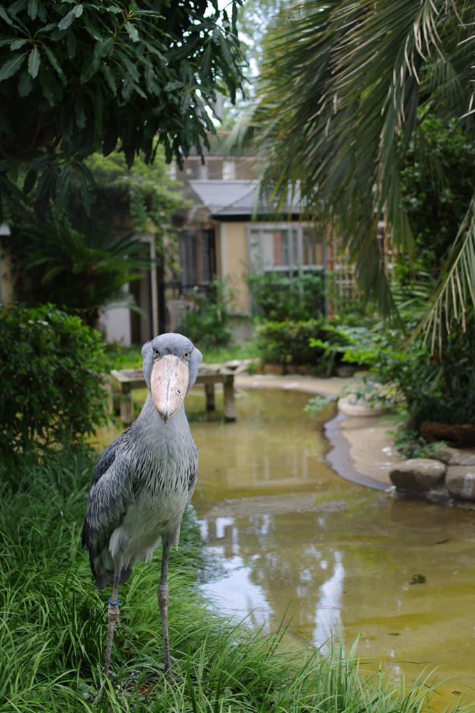 こっち見んな！