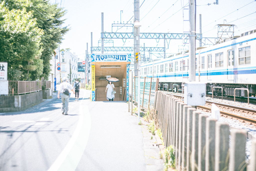 3R3A6873-2