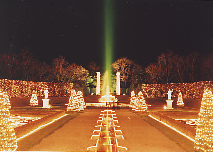 夜