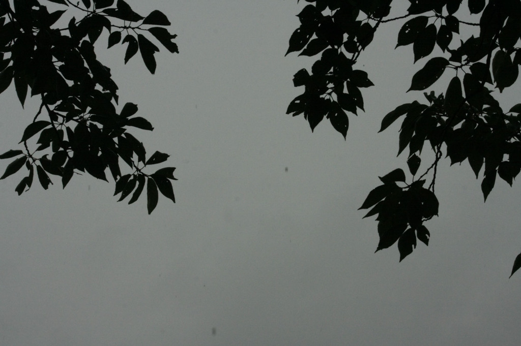 空は