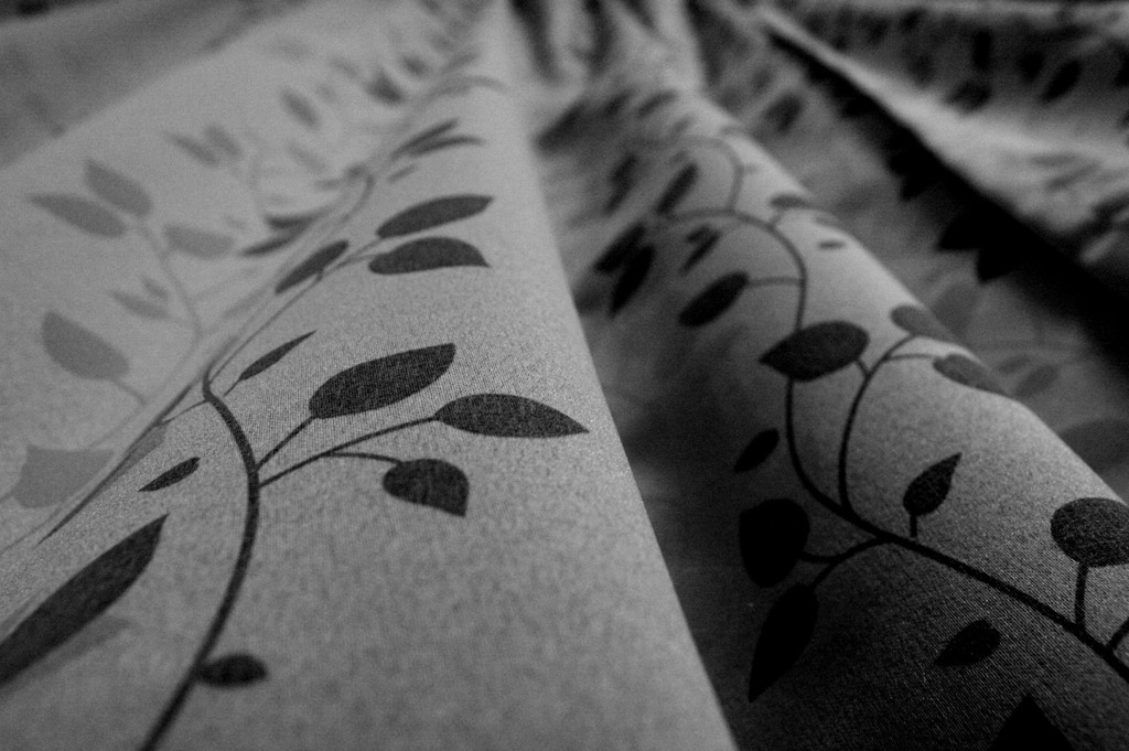 in my house 6