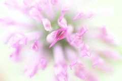 幻想