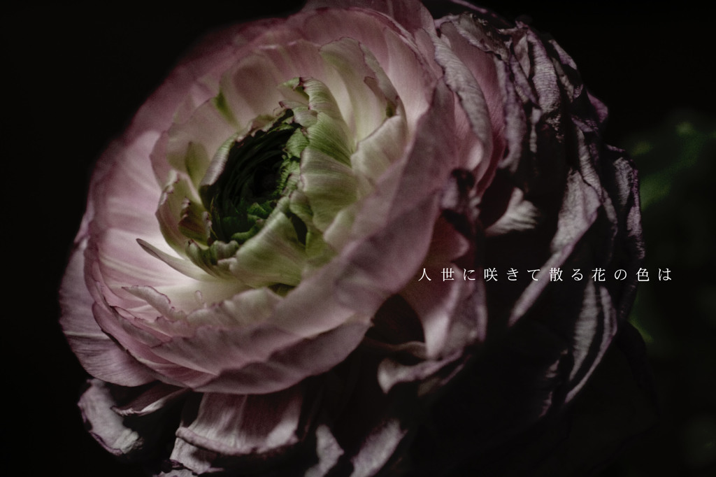 人生に咲きて散る花の色は