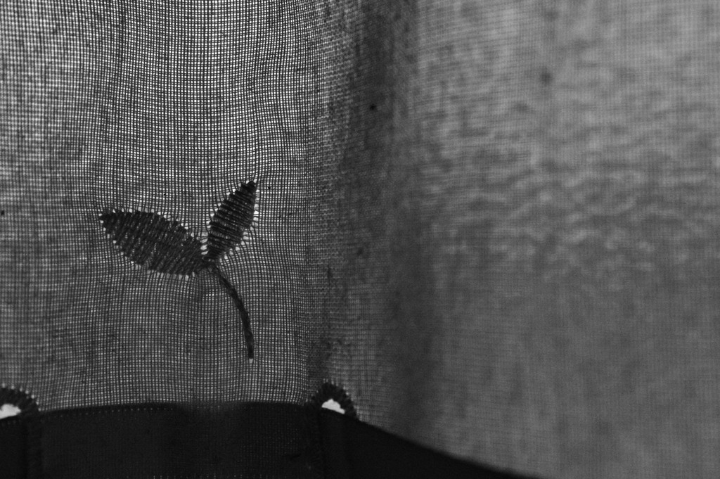 in my house 3