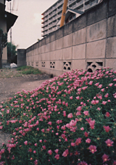 20050613