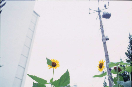 20050718