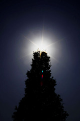 hIkArI