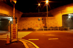夜の散歩