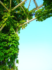 P5270834