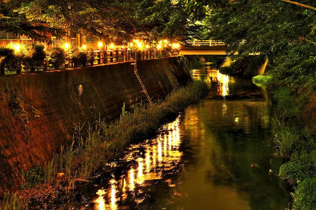 夜の散歩