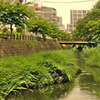 坂川