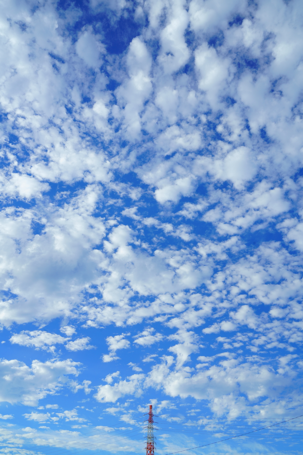 雨上がりの青空