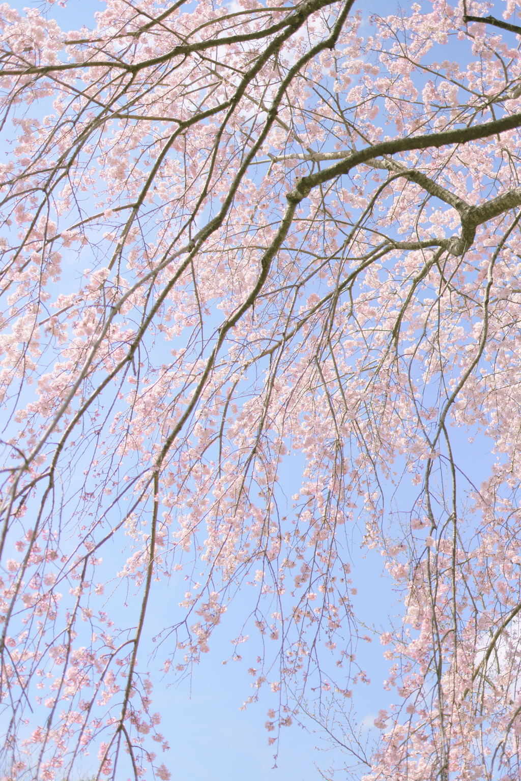 水色の空と