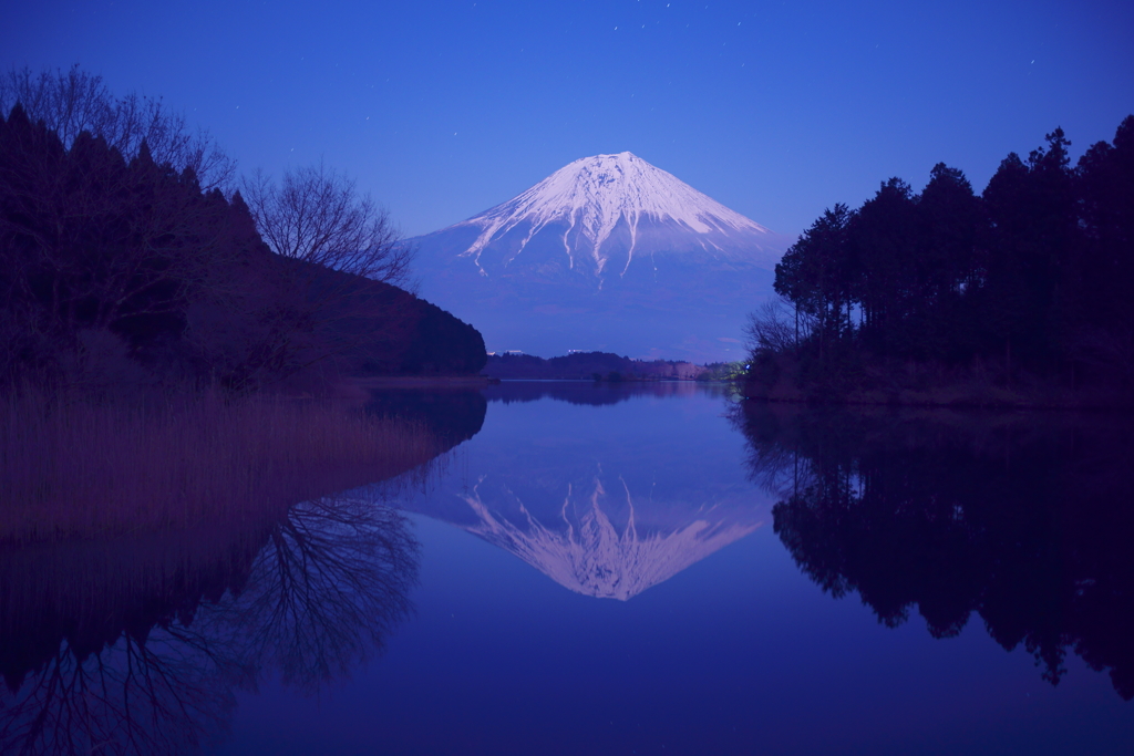 蒼の中