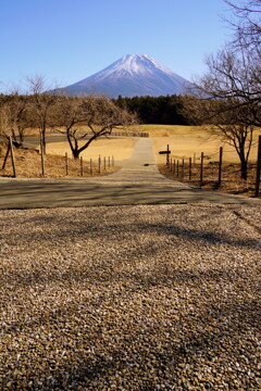 一本道