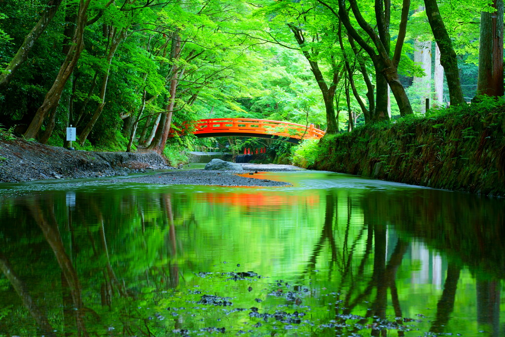 久し振りの風景