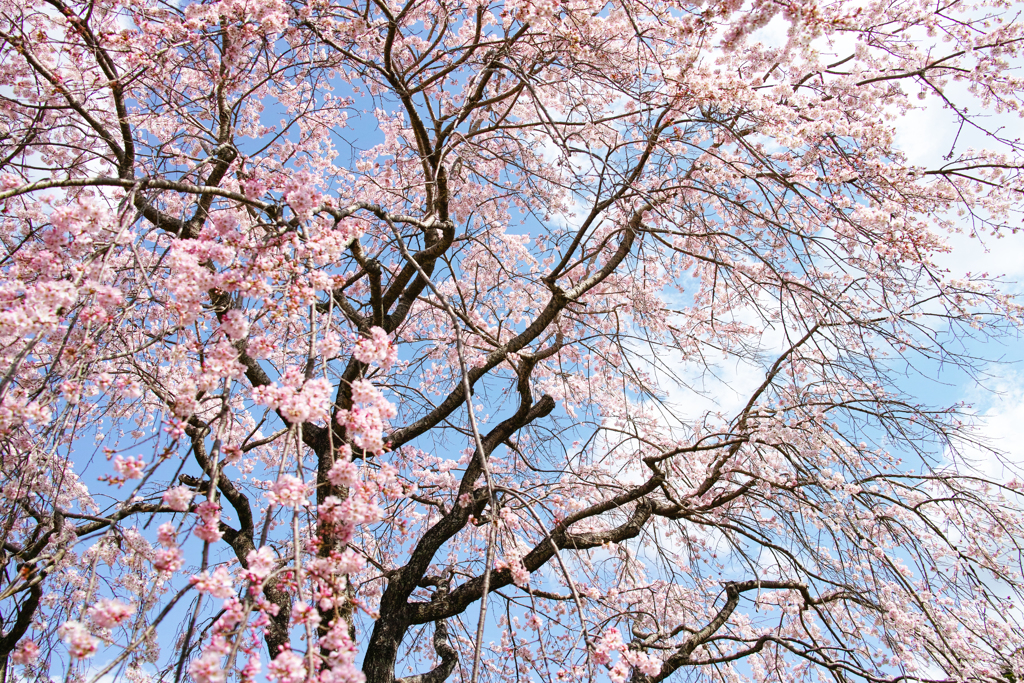 春空