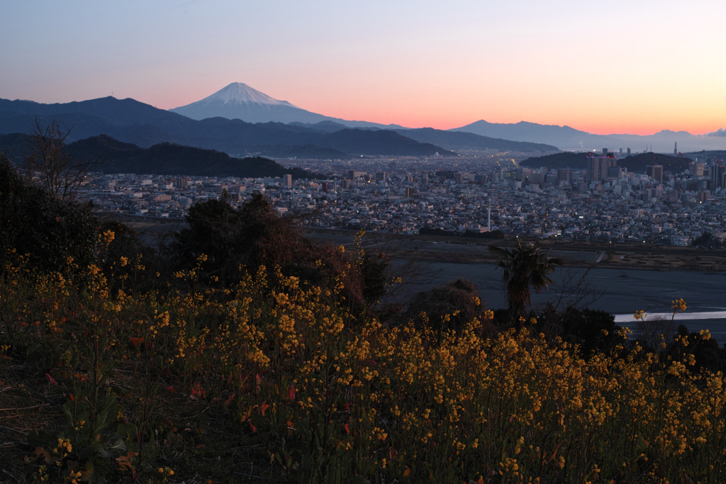 夜が明けて