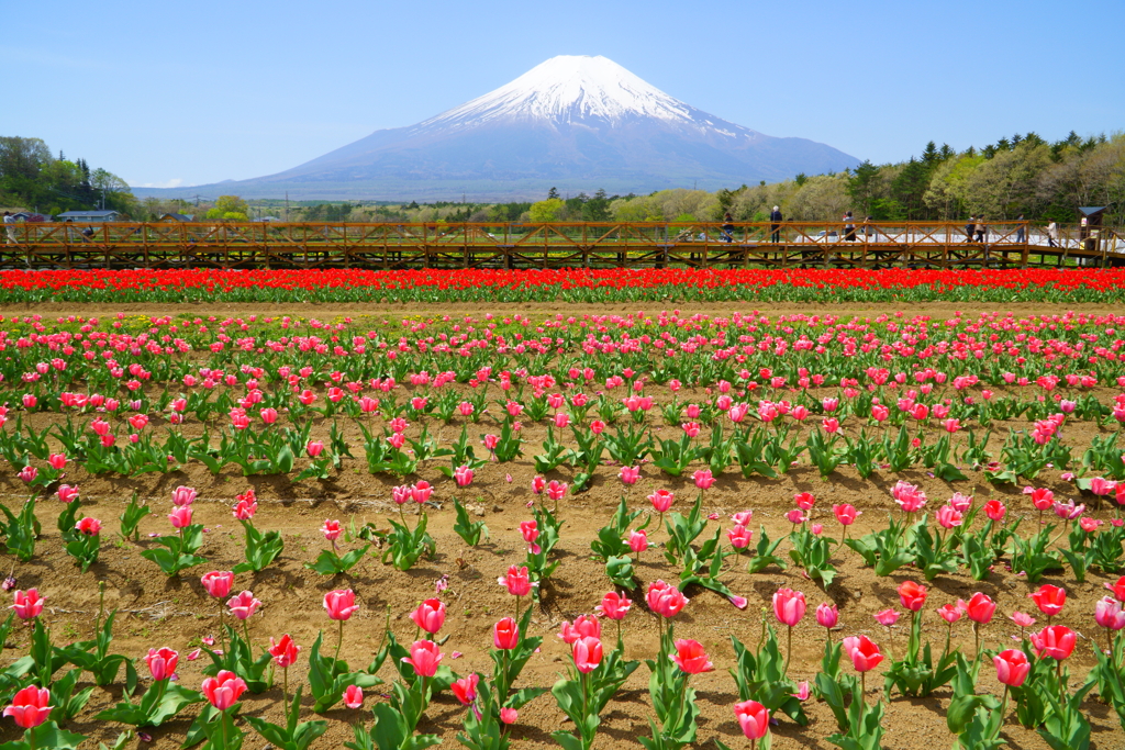 平穏な日々