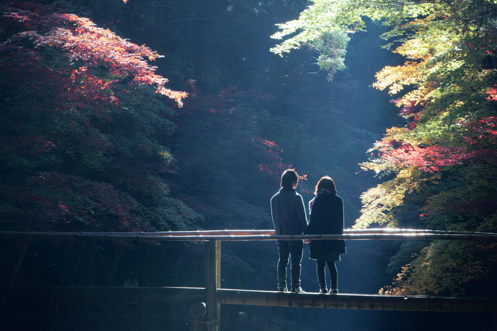 今年の光芒は