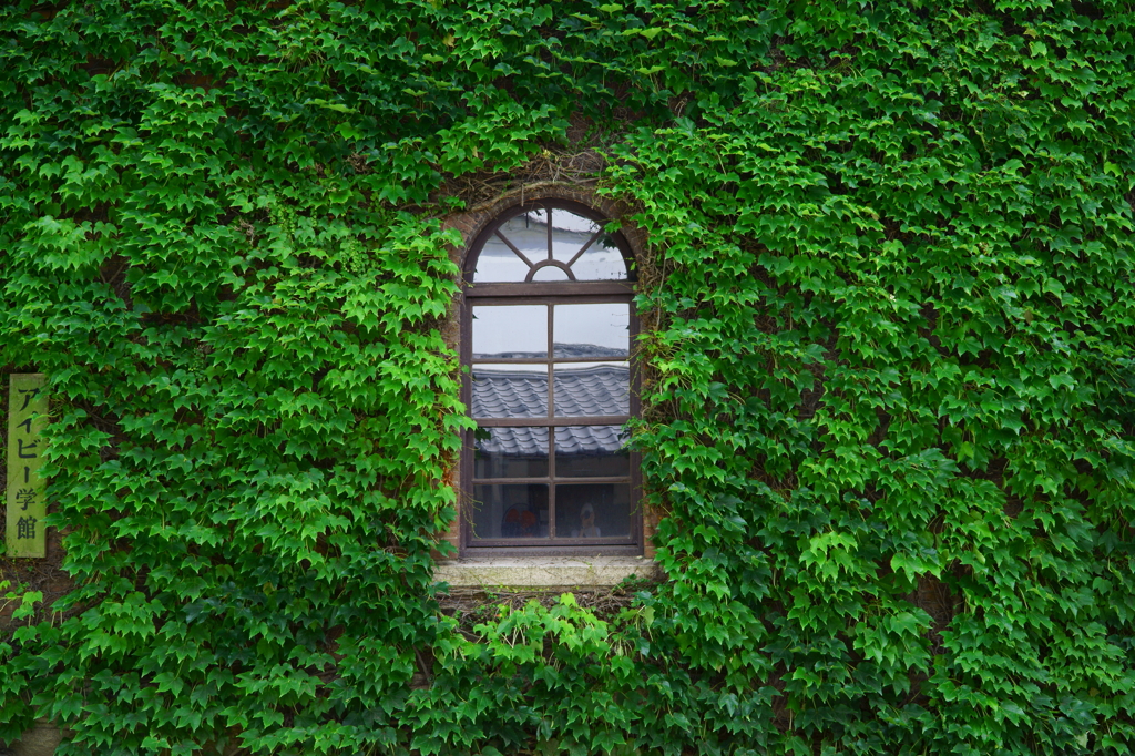 緑の中の窓