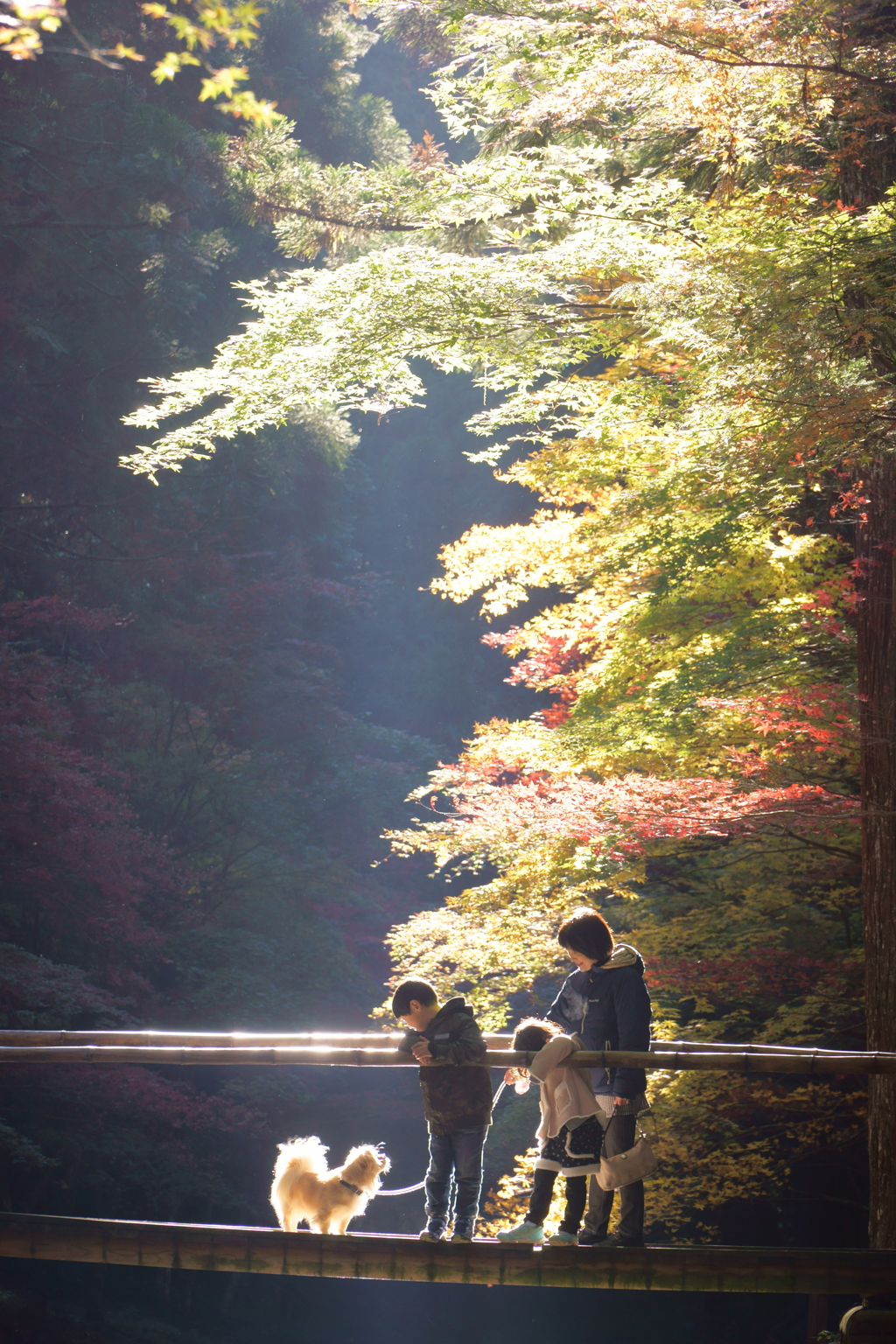 犬と子供と By Suzuki ソリ男 Id 写真共有サイト Photohito