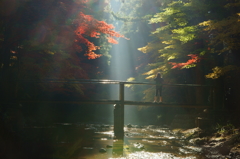 光芒と紅葉