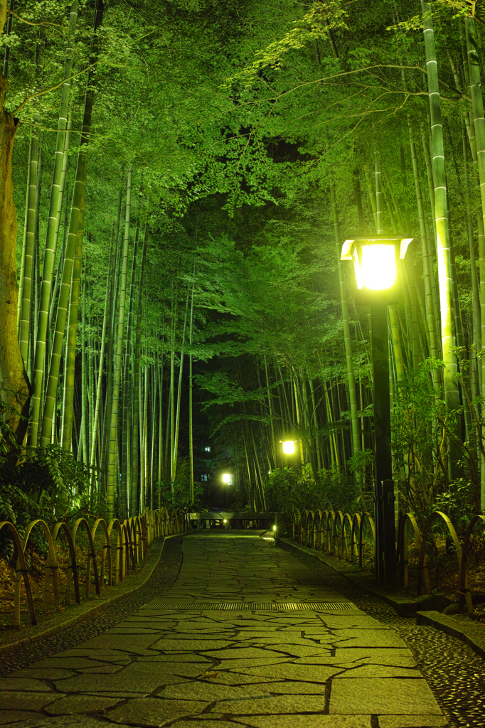 竹林の小径