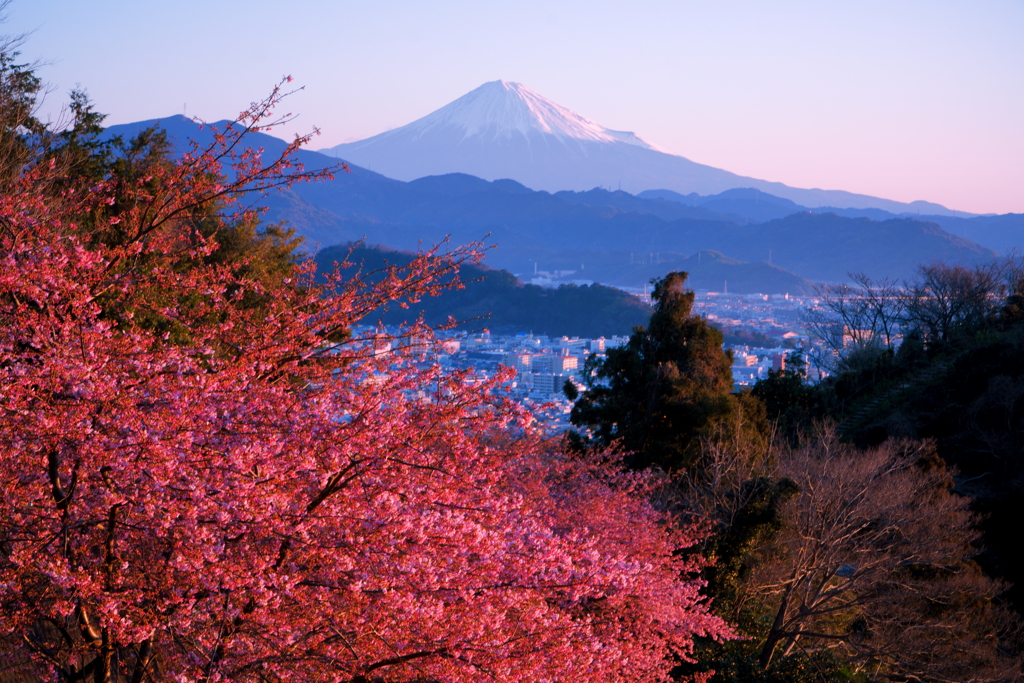 日本