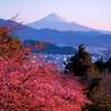 日本