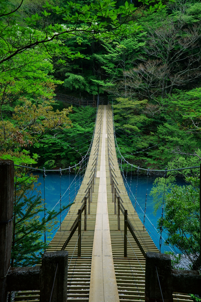 夢の吊り橋