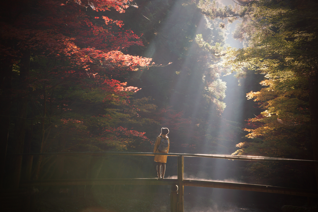 晩秋のある朝