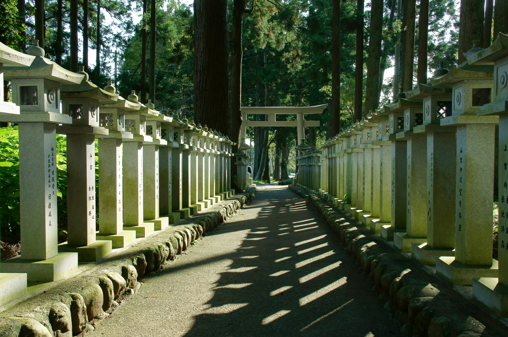 山宮浅間神社・鳥居