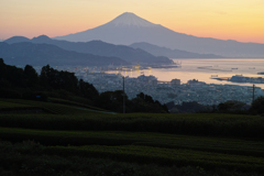 春の夜明け