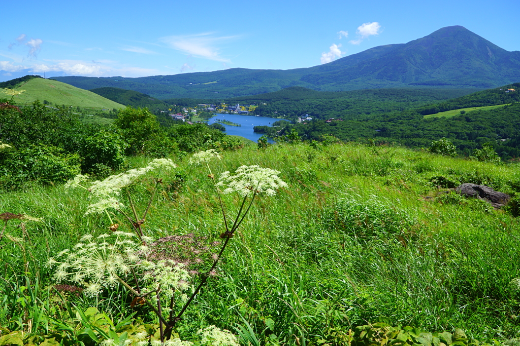 白樺湖を望む