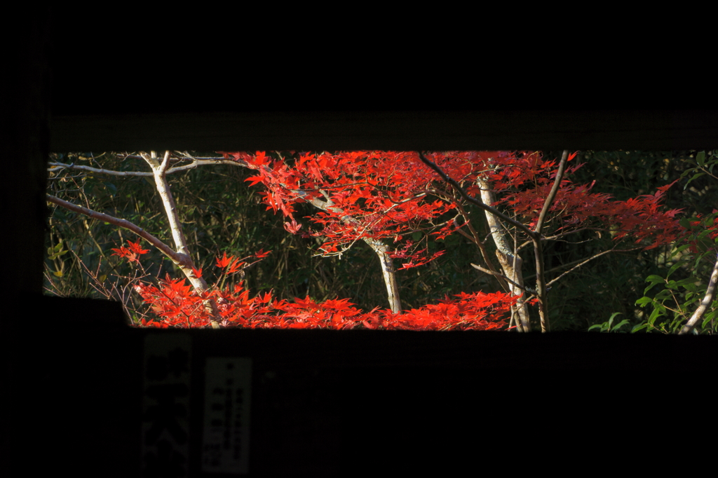 隙間