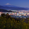 明るい夜