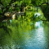 緑の水鏡。倉敷美観地区にて