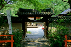 夏の神社