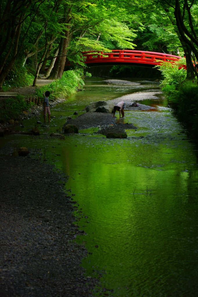 夏日に