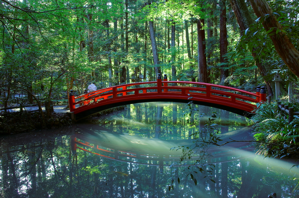 小國神社、事待池