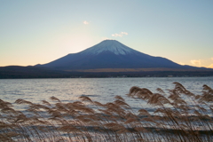 夕方