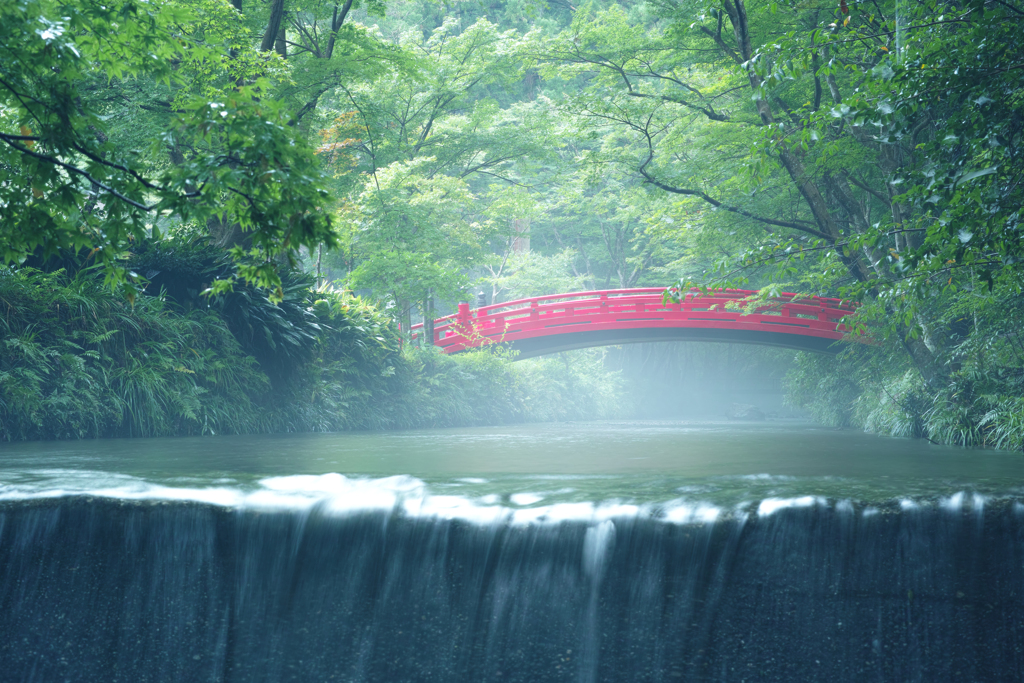雨上がり