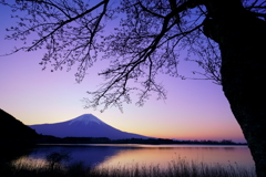 田貫湖